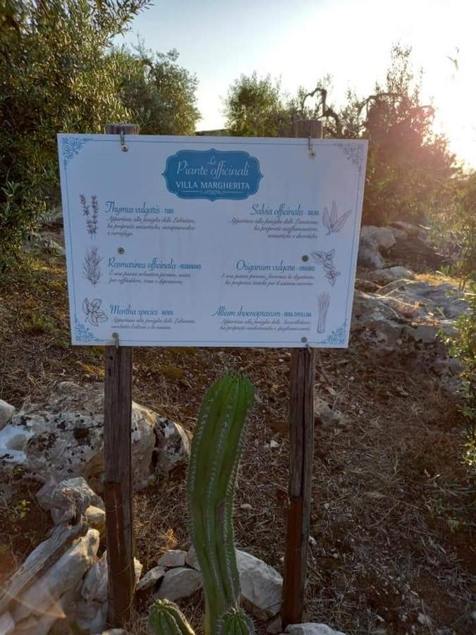 Sonnino Le Capanne Di Villa Margherita المظهر الخارجي الصورة