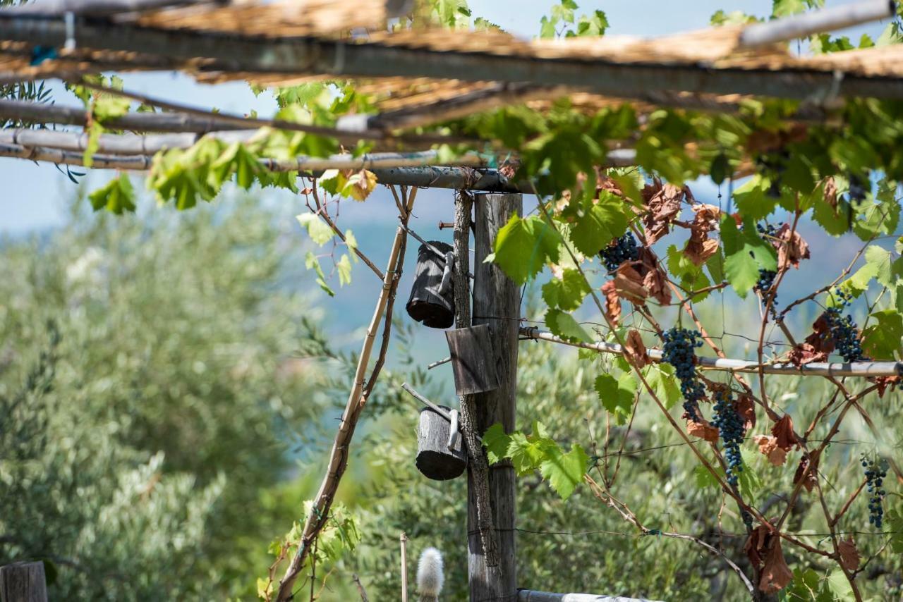 Sonnino Le Capanne Di Villa Margherita المظهر الخارجي الصورة